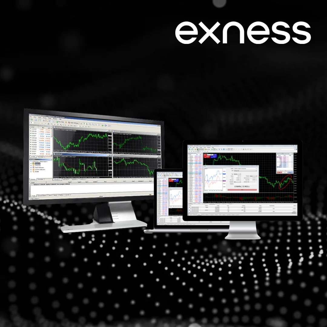 Exness Process Verification 