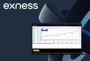 Exness Forex Pairs